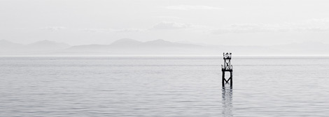 【软件使用教程】图文详解的ip攻击器网页版