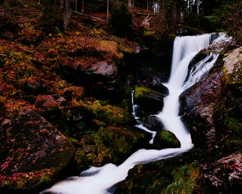 免费ddos攻击网页端